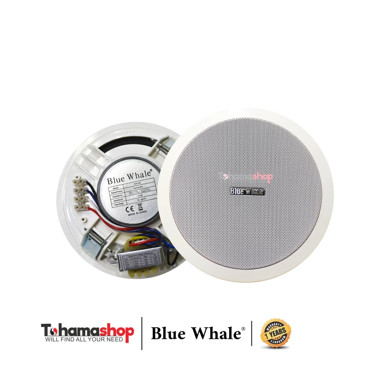 سماعه سقف بدون فريم 9 وات بلوويل